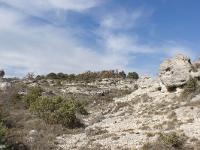 Les Mourres - Forcalquier
