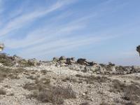 Les Mourres - Forcalquier