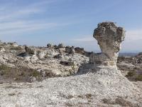 Les Mourres - Forcalquier