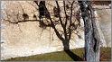 nd-des-ange-18web
