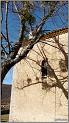 nd-des-ange-19web