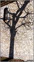 nd-des-ange-21web
