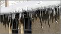 neige-11-1-2010-05