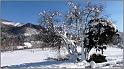 neige-11-1-2010-07