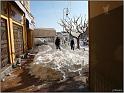 neige-11-1-2010-21