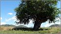 nibles-09web