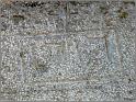 nibles-19web