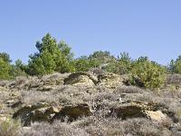 Paysages au Sud/Ouest du Forest d'Aubignosc  Au Sud du Forest d'Aubignosc, juste au dessus du village