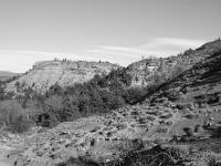 Paysages au Sud/Ouest du Forest d'Aubignosc  Une version en noir et blanc