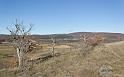 paysage-simiane-2