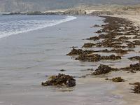 Crozon - Plage de Goulien  Plage de Goulien