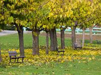 Sisteron - Plan d'Eau - Marres  Bancs et murier-platanes