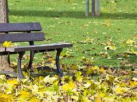 Sisteron - Plan d'Eau - Marres  Banc sous un murier-platane