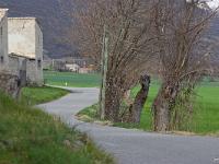 Plateau de Salignac
