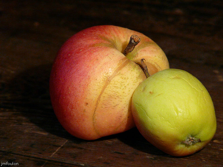pomme-03web.jpg - Collée à sa mère pour un petit câlin
