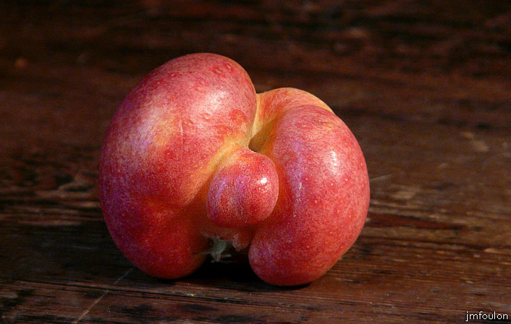 pomme-04web.jpg - Suggestive et très gay !
