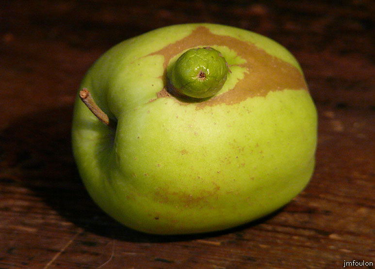 pomme-06web.jpg - Alien sortant d'une golden. Méfiez vous dorénavant quand vous croquerez dans une pomme !