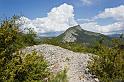printemps-2013-collet-02web
