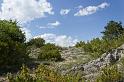 printemps-2013-collet-05web