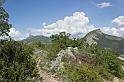 printemps-2013-collet-07web