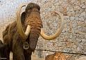 musee-006-2