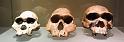 musee-020-2