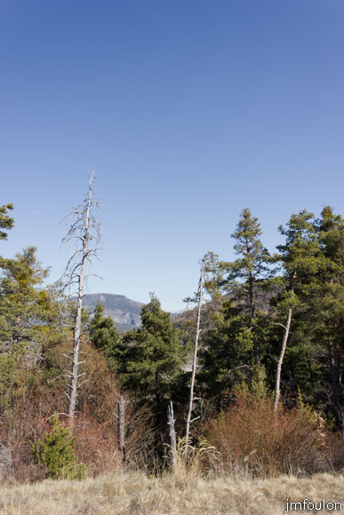 ravin-piche-25web.jpg - Vue vers le nord du même endroit
