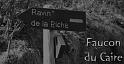 ravin-piche-00web