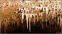 citadelle-18web