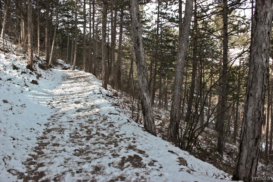 sist-du-molard-LR-01web.jpg - Le sentier du Molard. C'est en fait le GR 6 qui passe à Sisteron et mène jusau'à Nice