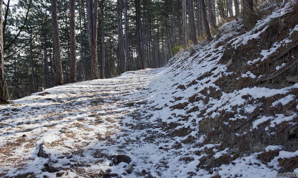 sist-du-molard-LR-02web.jpg - Le sentier du Molard