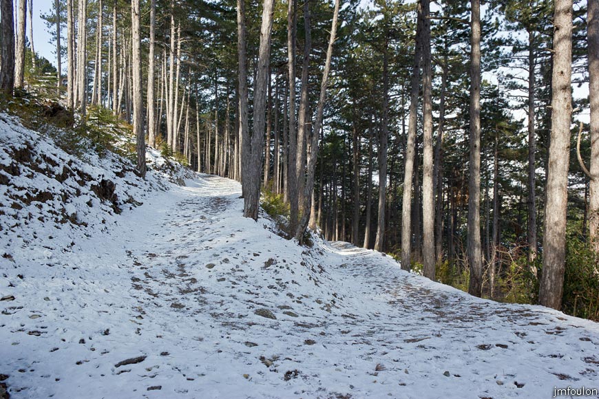 sist-du-molard-LR-04web.jpg - Le sentier du Molard