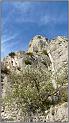 baume-10web