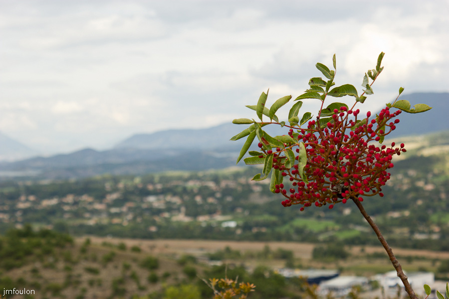 sisteron-collet-035.jpg - Sisteron - Le Collet - Majestueuse Nature ...