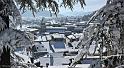 sist-neige-12_02-05