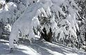 sist-neige-12_02-10