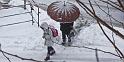 sist-neige-11_02-02web