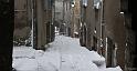 sist-neige-11_02-23web