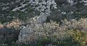 rempart-haut-02_lr-web