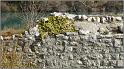 rempart-bg-reynaud-20web
