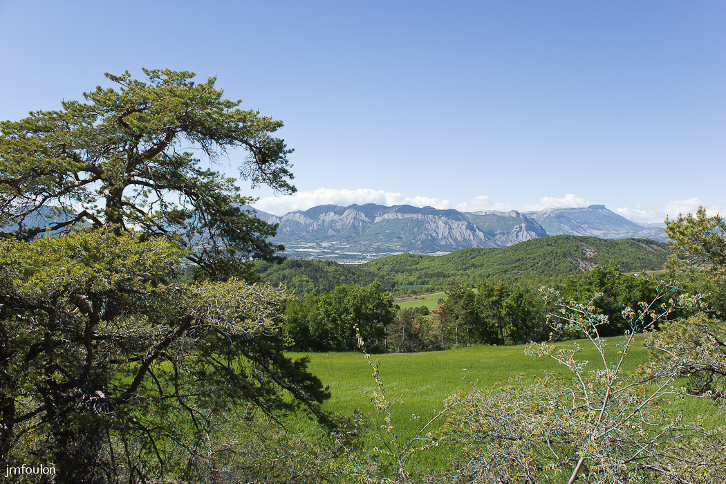 theze-tr-chenes-029-2.jpg - Vue vers le Nord