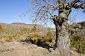adret-gache-008