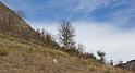 tour-du-puy-025