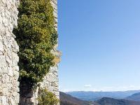 Château du Vieux Noyers (XIIIe)  Le balcon d'observation (Vue vers l'Est)
