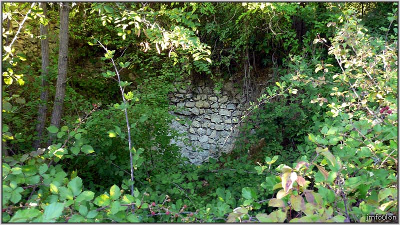 vx-village-26web.jpg - Le mur du fond d'une pièce envahie par les mûres, très bonnes au demeurant ! ...