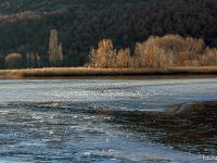 Lac de Mison