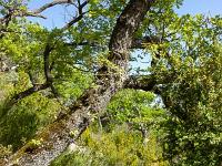Montgervis  Sur le sentier