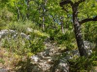 Montgervis  Le sentier