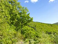 Montgervis  Le sentier 1/6