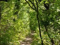Montgervis  Le sentier 5/6